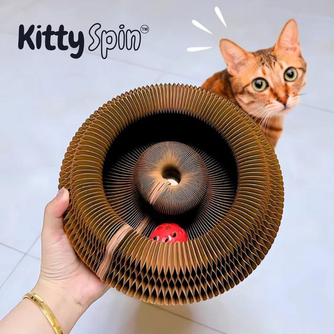 KittySpin™ | Griffoir interactif pour chats