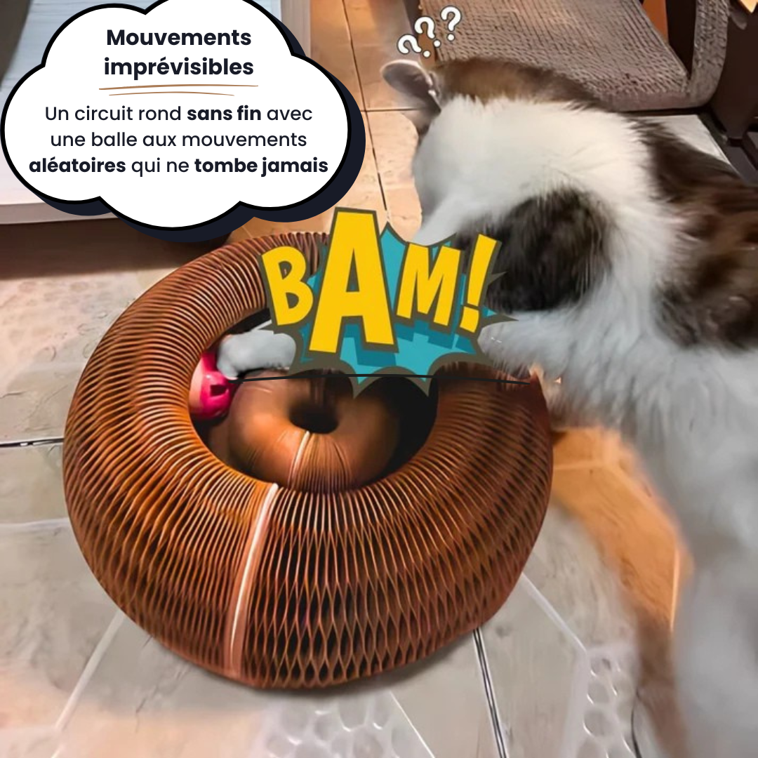 KittySpin™ | Griffoir interactif pour chats